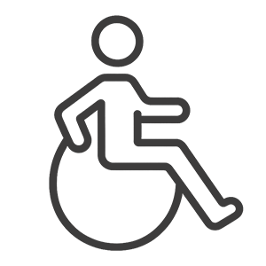 Accessibility Features