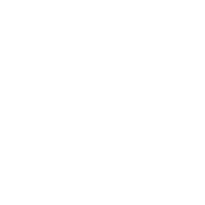 Key Features Icon